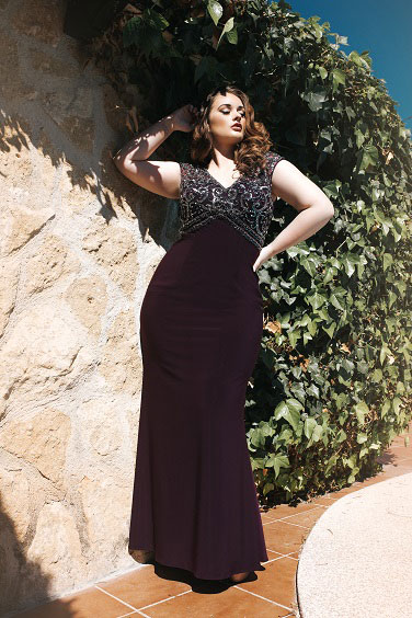 Dynasty Curve Collection